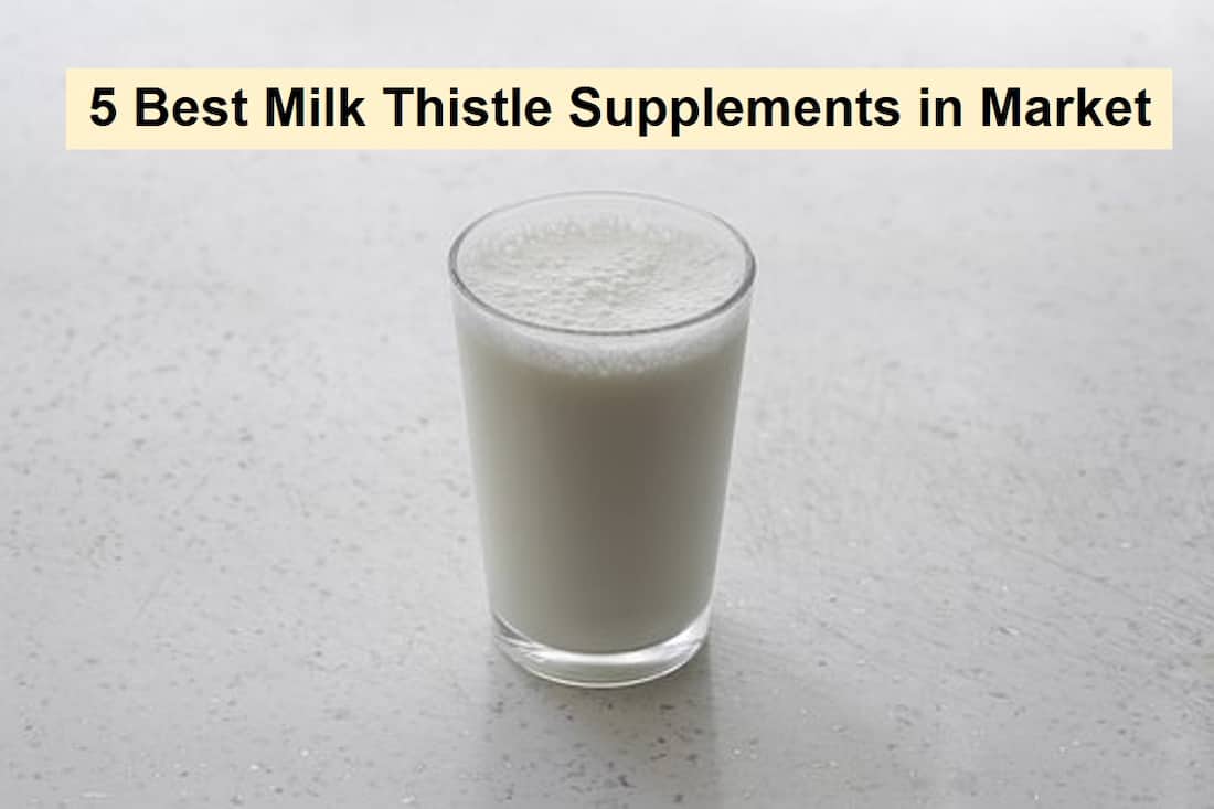 22- 5 Best Milk Thistle Supplements in Market
