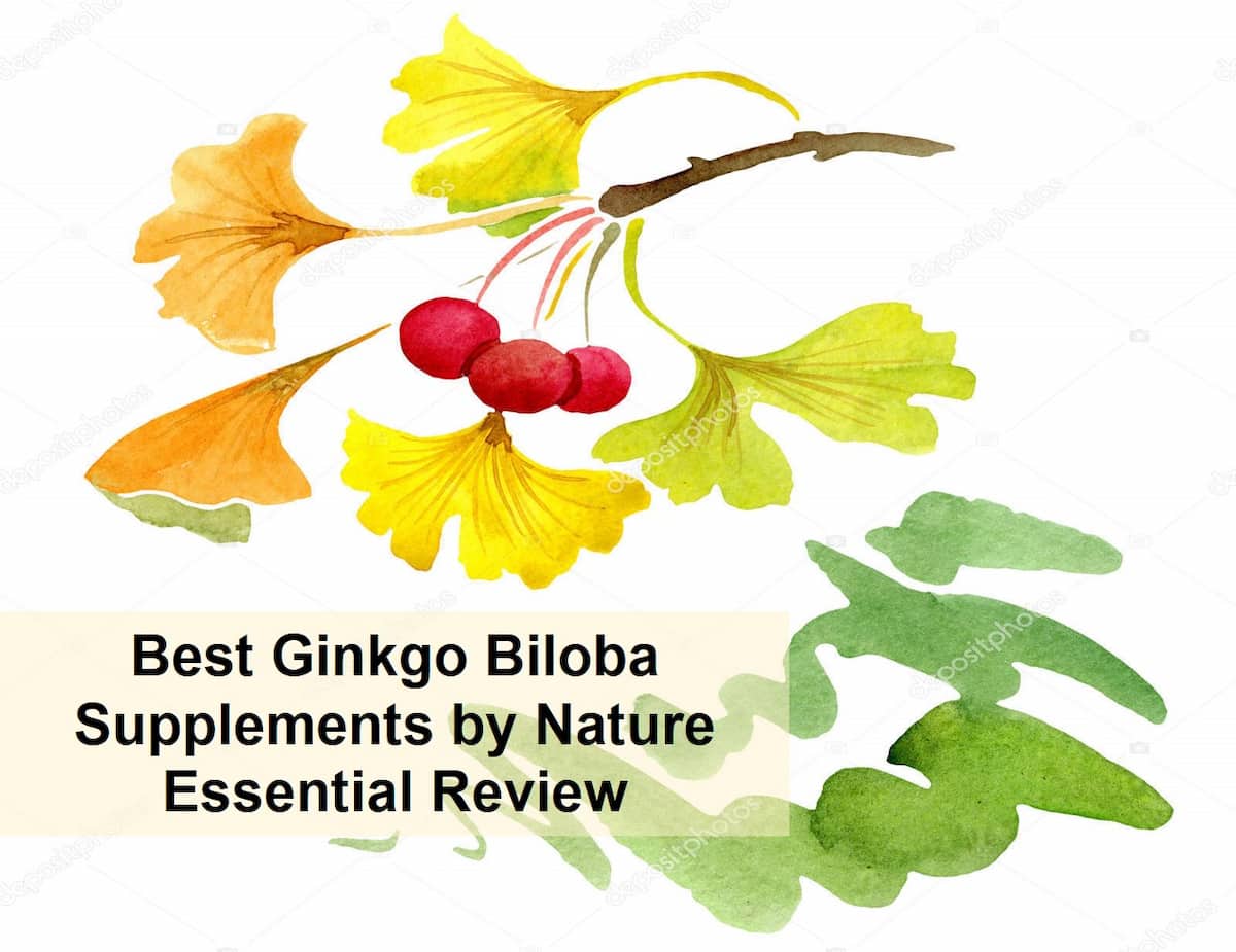 23-1- Best Ginkgo Biloba Supplements by Nature Essential Review
