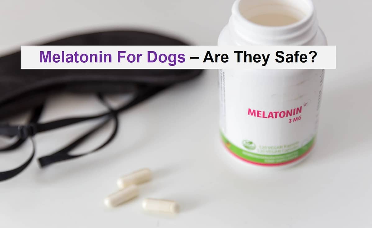 25-1- Melatonin for dogs - F